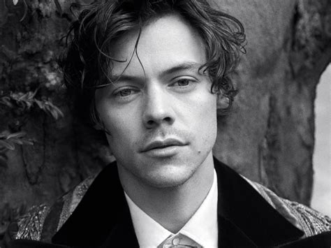 harry styles high quality photo.